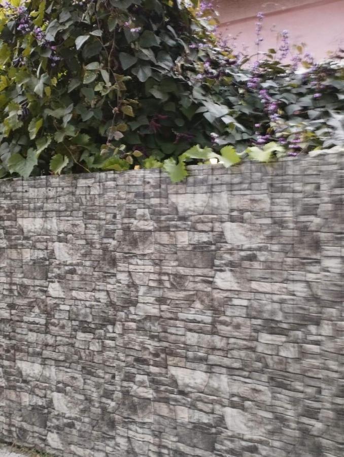 Balti House Daire Dış mekan fotoğraf
